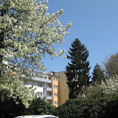 Dom-Hotel Hotell 4*